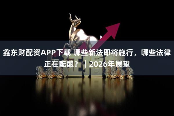 鑫东财配资APP下载 哪些新法即将施行,哪些法律正在酝酿?|2026年展望
